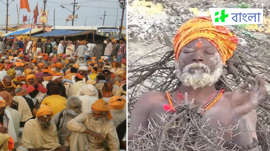 কাঁটা আসল না নকল? প্রশ্ন শুনে সাংবাদিককে থাপ্পড় কষালেন ক্ষিপ্ত কাঁটা বাবা, ভাইরাল হল ভিডিয়ো