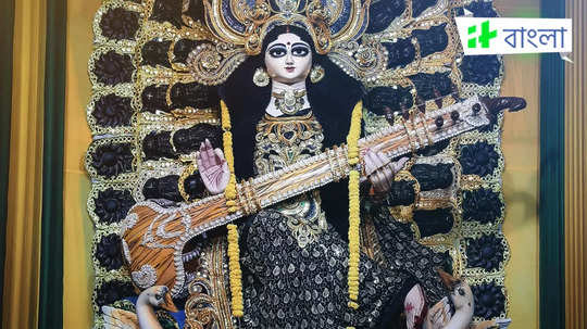 Saraswati Puja Mantra: বসন্ত পঞ্চমীতে করুন সরস্বতী বন্দনা, জানেন কি কোন মন্ত্রে খুশি হবেন বাগদেবী?