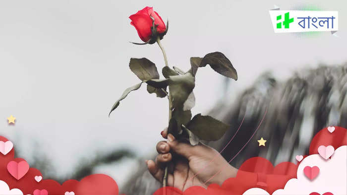 Rose Day Gifts By Zodiac Sign: রাশি অনুযায়ী গোলাপ দিন সঙ্গীকে, আরও গাঢ় হবে প্রেমের রং!