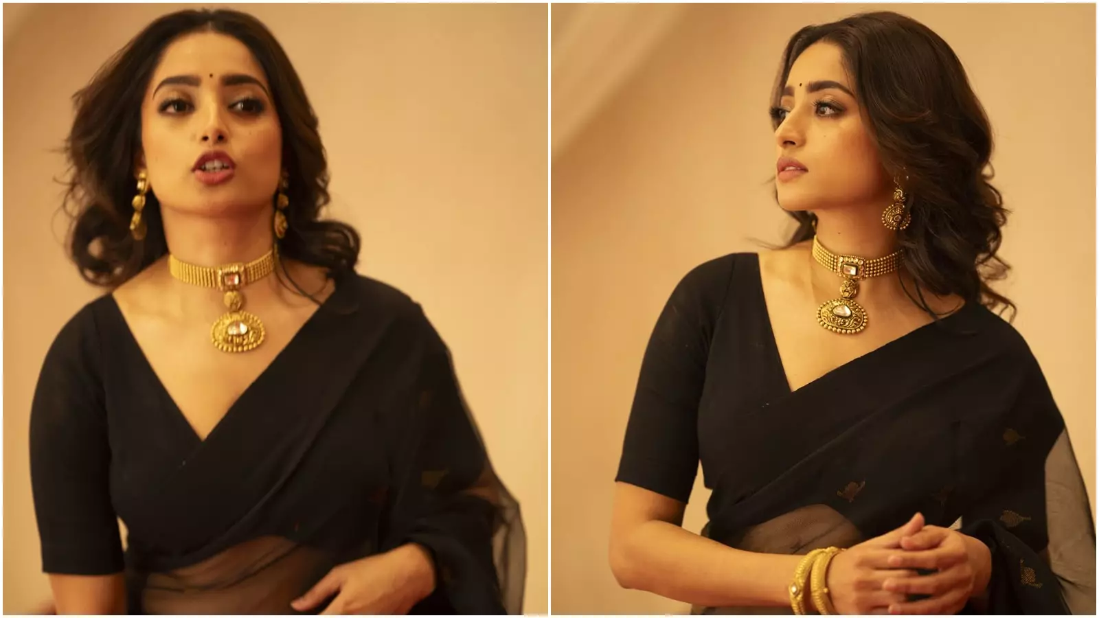 Sochli eshak fotosurati