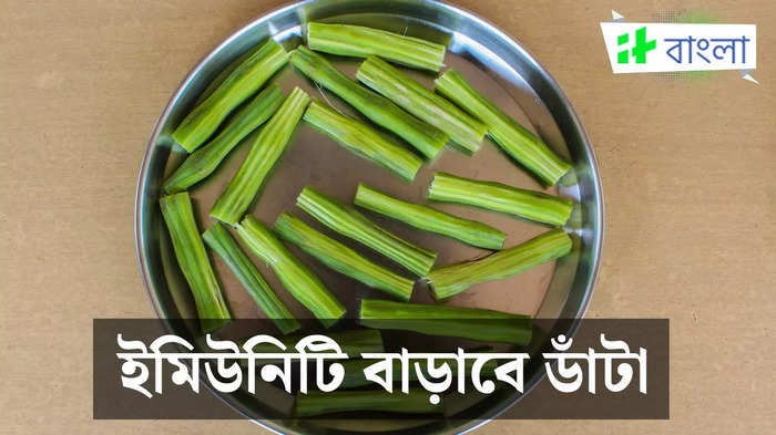 রোজ যদি খান এই খাবার, তাহলেই ইমিউনিটি হবে দমদার