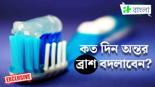 Oral Health Day: কত দিন অন্তর টুথব্রাশ বদলে ফেলা উচিত? উত্তর দিলেন বিশিষ্ট ডেনটিস্ট