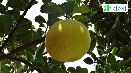 রক্তনালী হবে পরিষ্কার, দূরে থাকবে হার্ট অ্যাটাক! শুধু রোজ এই লেবু খান