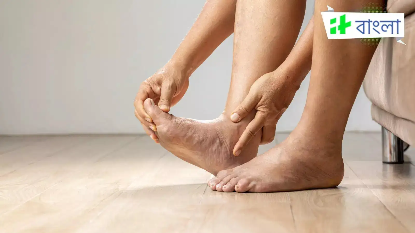 Mushukni ichkariga aylantirdi porno