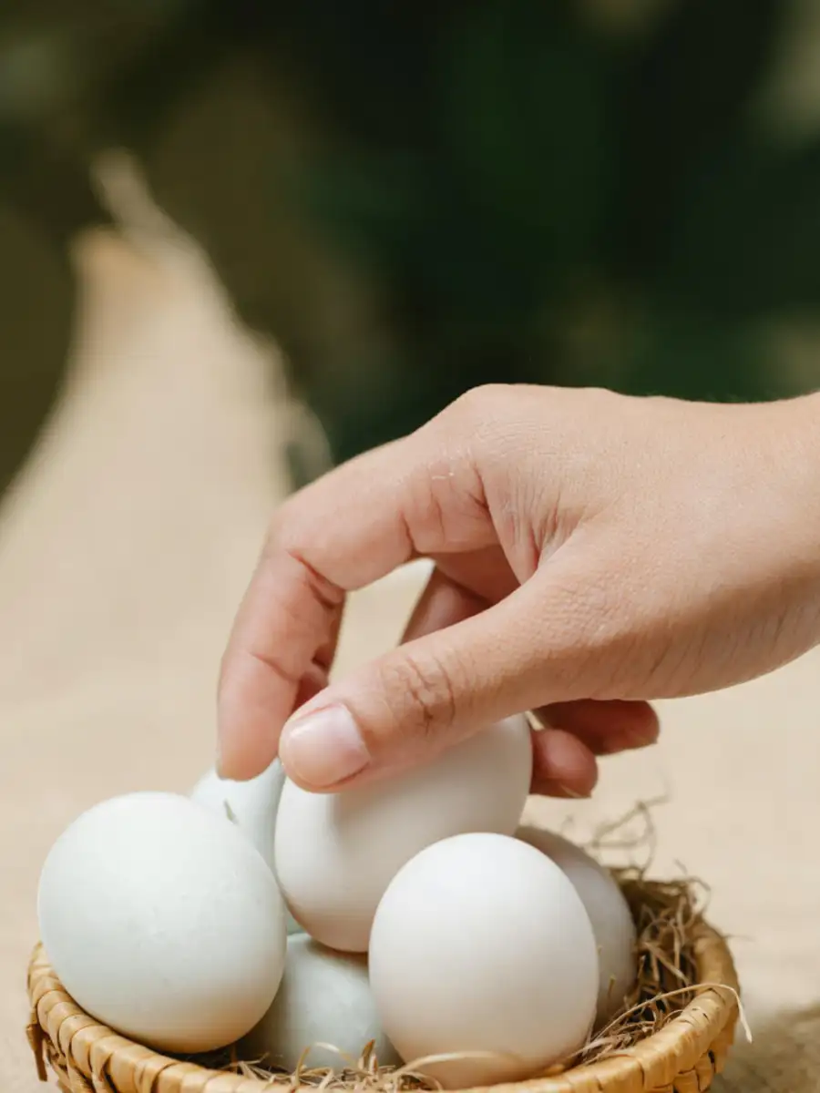 khalsa ayurvedic - ShareChat