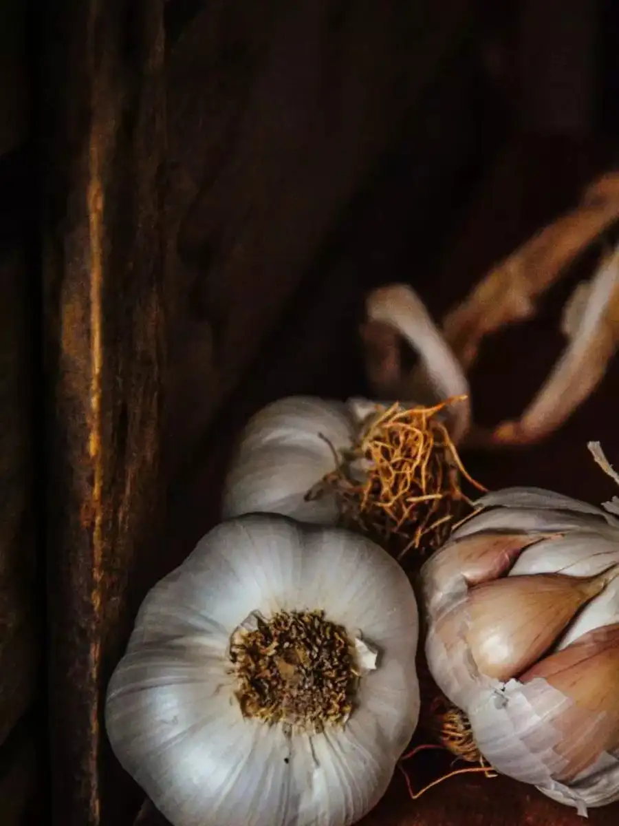 ਆਯੁਰਵੈਦਿਕ ਗਿਆਨ - ShareChat