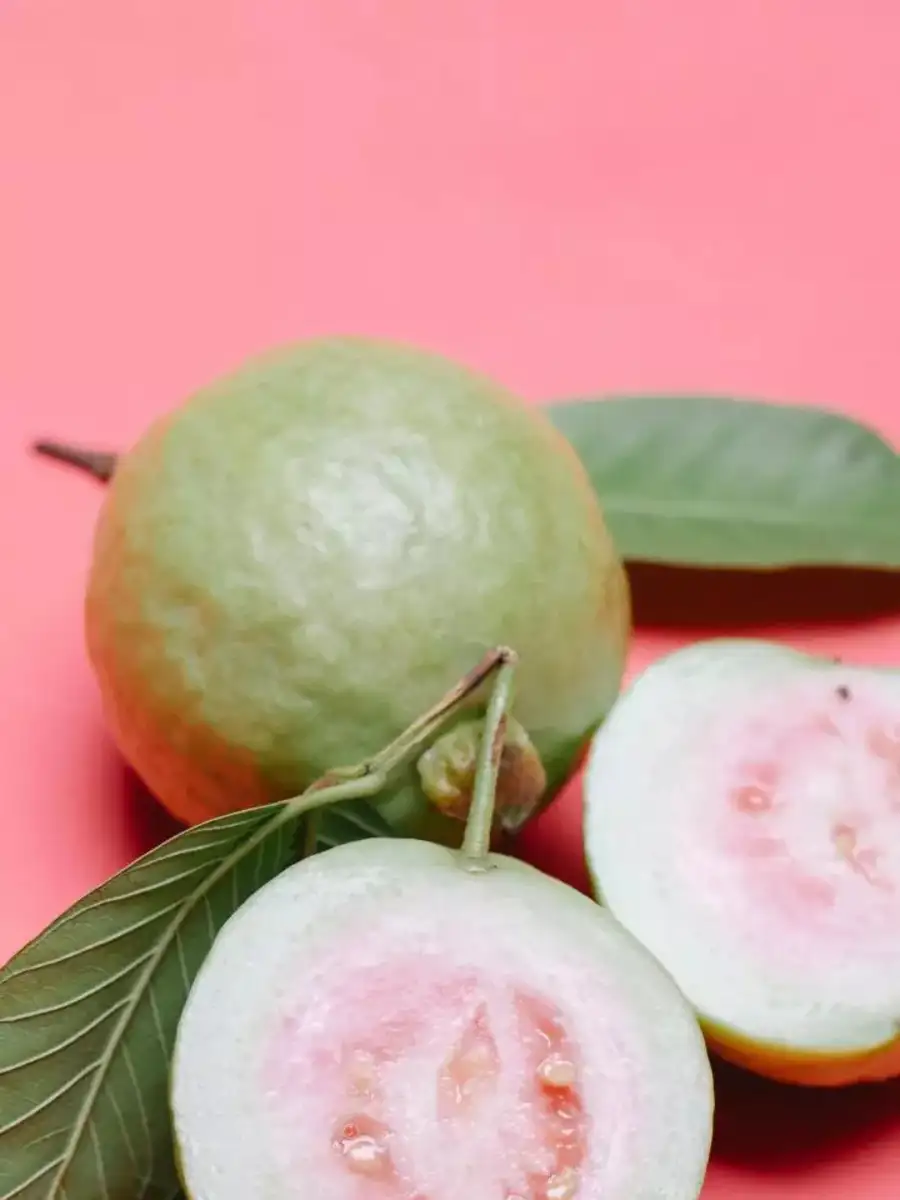 ਆਯੁਰਵੈਦਿਕ ਗਿਆਨ - ShareChat