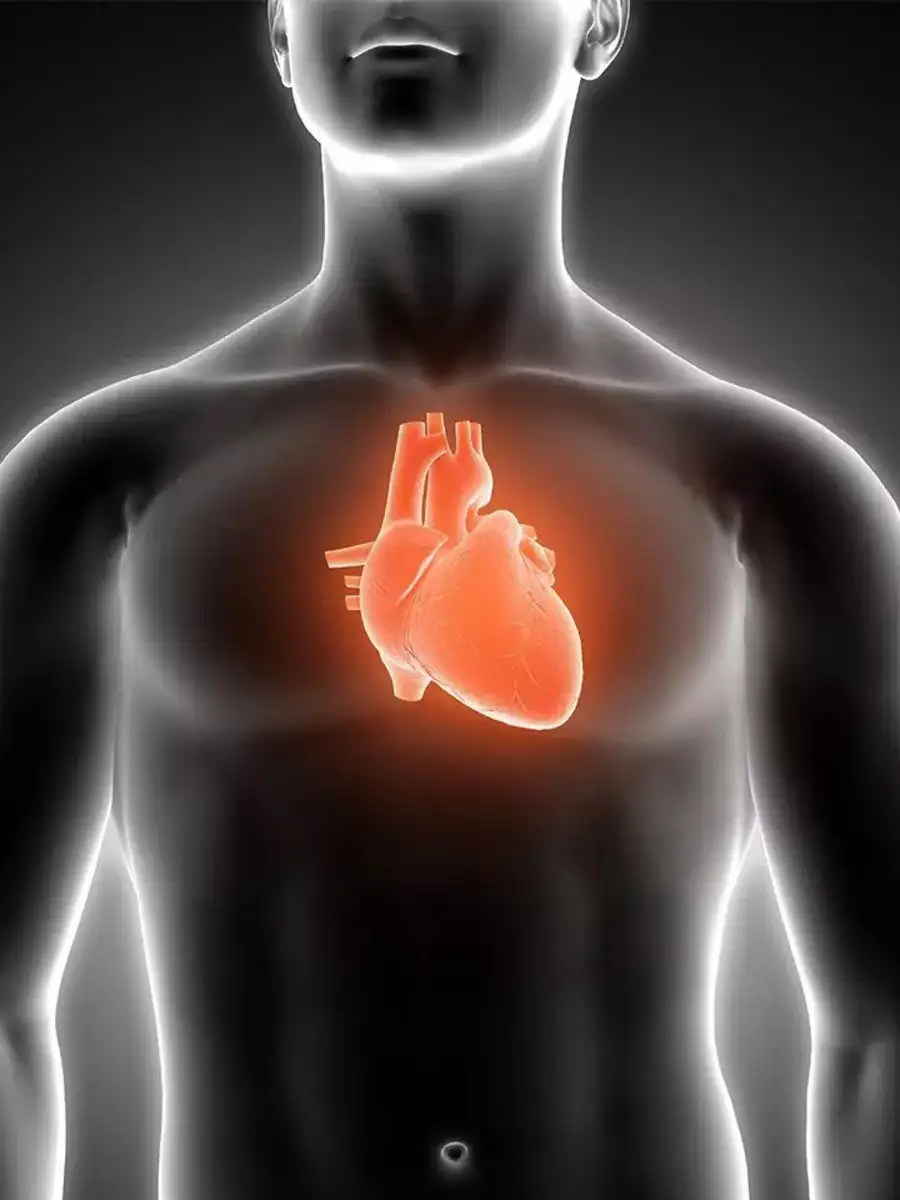 😇My Status - ShareChat