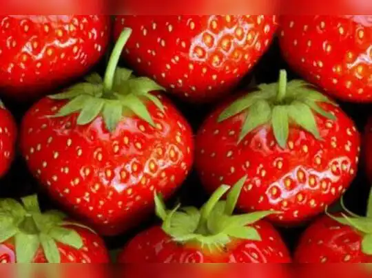 ஸ ட ர ப ர பழத த ன பலன கள Medicinal Tips Of Strawberry Samayam Tamil