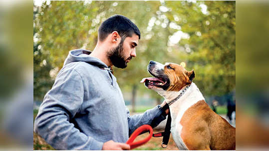 Dog Trainer: डॉग ट्रेनर व्हायचंय? जाणून घ्या सर्व प्रश्नांची उत्तरे