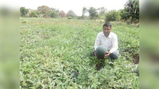 शेततळ्यांच्या माध्यमातून फुलवले नंदनवन