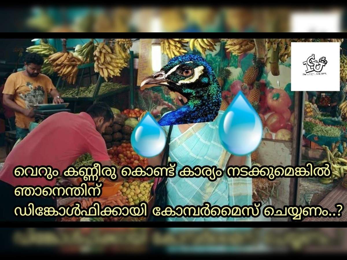 Peacock Sex Statement Troll à´œà´¡ à´œ à´¯ à´Ÿ à´¬ à´°à´¹ à´®à´š à´° à´®à´¯ à´² à´ª à´°à´¸ à´¤ à´µà´¨à´¯ à´Ÿ à´° à´³ à´• à´• à´¨ à´¨ à´¸ à´¬à´° à´² à´• Trolls On Peacocks Don T Have Sex Statement Samayam Malayalam