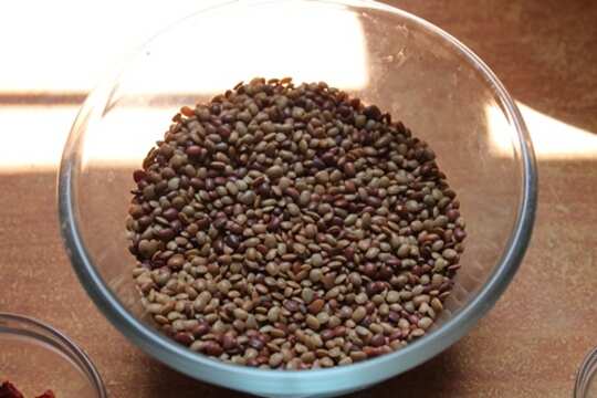 health benefits of horse gram | Samayam Tamil Photogallery