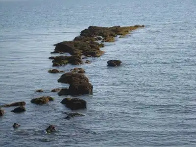 history-of-dhanushkodi