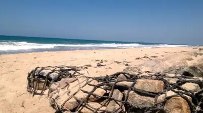 history-of-dhanushkodi
