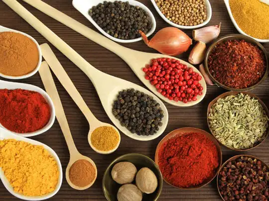 क्या आप जानते हैं कि हमें अपने खाने में मसाले की जरूरत क्यों पड़ती है और मसाले के लाभों को