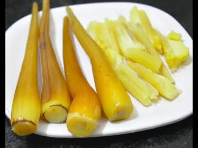 palmyrasprouthealthbenefits