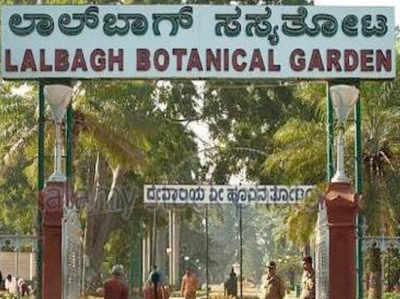 बेंगलुरु के बॉटनिकल गार्डन में हार्ड डिओडरेंट लगा कर जाना मना है! 
