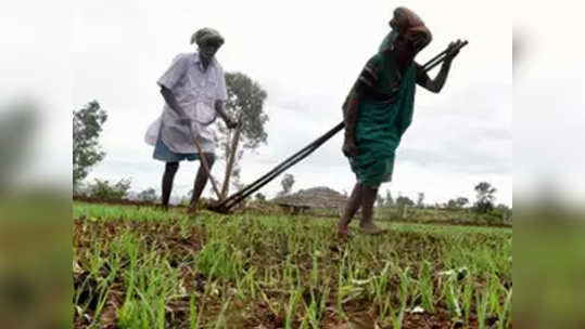 farmers: शेतकरी कर्जमाफी योजनेला मुदतवाढ