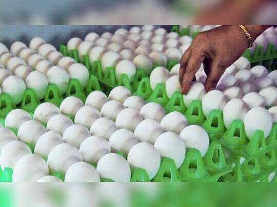 மாவட்ட செய்திகள்