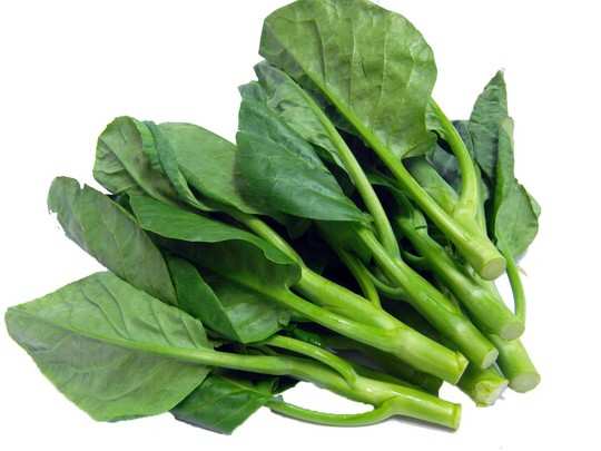 bachhali: health benefits of bachhali kura (malabar spinach) | Samayam  Telugu Photogallery