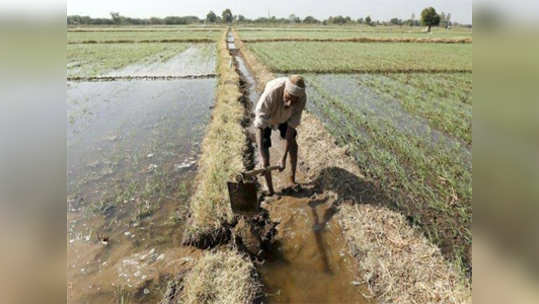 मराठवाड्याच्याकाही भागात पाऊस