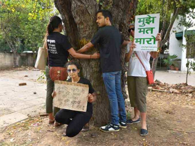 पेड़ों को बचाने को लोगों ने शुरू किया चिपको आंदोलन
