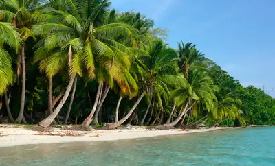 அந்தமான் top-8-beach-holidays-india
