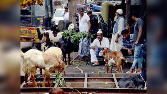 Bakra Eid: सुलतान, सलमानपेक्षा टायगरला भाव!