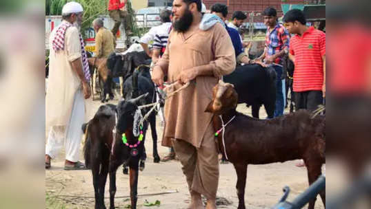 Bakra Eid 2018: बकऱ्याऐवजी कुत्रा सोपवला!