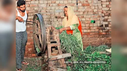 वीटभट्टी मजुराला दीड कोटींची लॉटरी