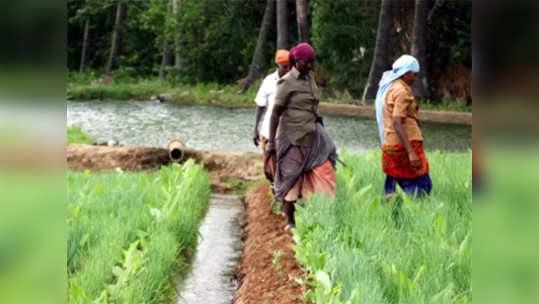 शेतीमालाच्या निर्यातीचे मृगजळ