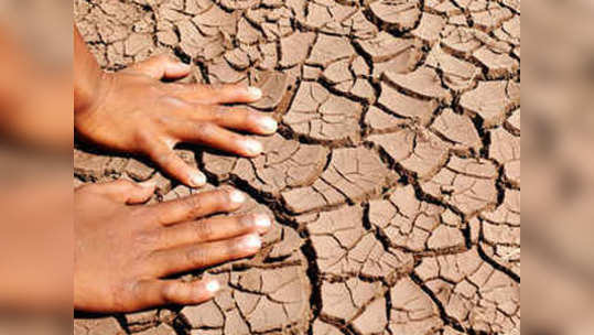 Maharashtra drought: आणखी ९३१ गावांत दुष्काळ जाहीर