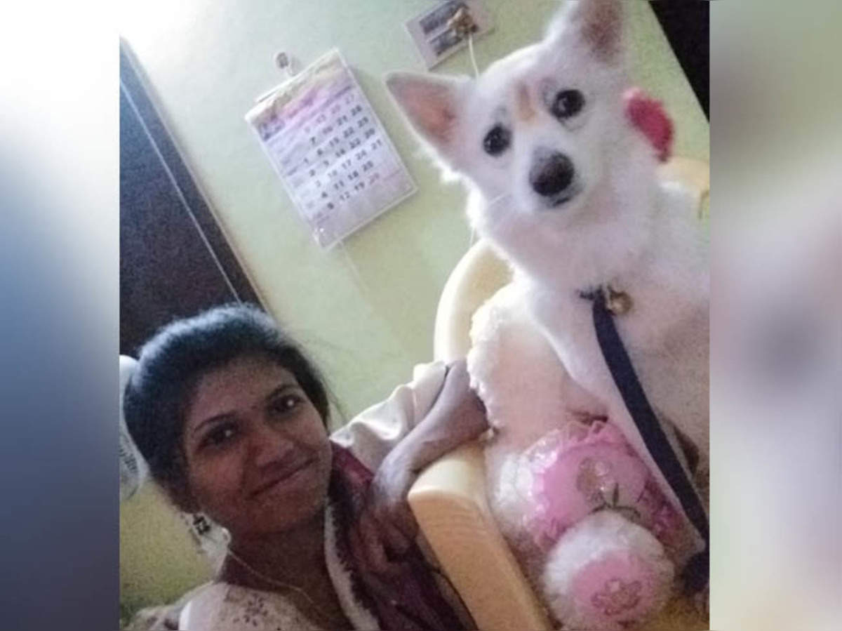 म ल क न ऐस मन य क त त क जन मद न स शल म ड य पर व यरल ह ई तस व र Owner Celebrates Her Dog Birthday Pictures Went Viral On Social Media Navbharat Times