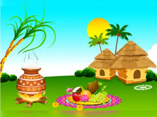 Kaanum Pongal 2021: Kaanum Pongal Images: காணும் பொங்கலும்..திருவள்ளுவர்  தினமும் சிறப்பம்சம் என்ன தெரியுமா? - 4th day kaanum pongal or thiruvalluvar  day celebrations in tamil nadu | Samayam Tamil