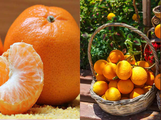 Differences Between Orange And Kinnow Lifestyle You Should Know The Differences Between Orange And Kinnow Navbharat Times Photogallery