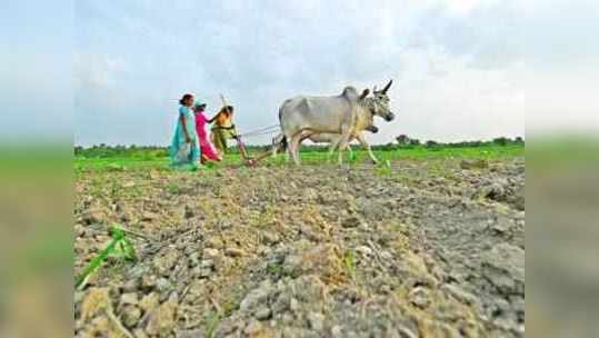 दुष्काळ अनुदानाचे आणखी ७२२ कोटी आले