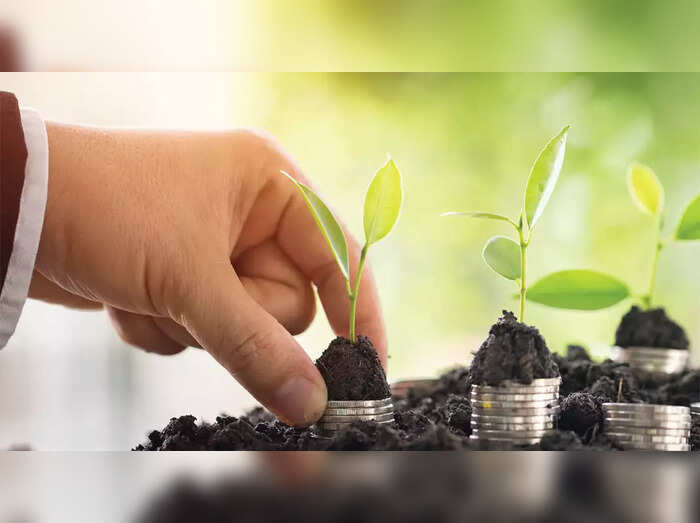 Investment