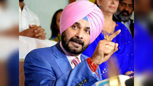 Navjot Singh Sidhu: झाडं पाडायला गेला होतात का?; एअर स्ट्राइकवर सिद्धू बोलले