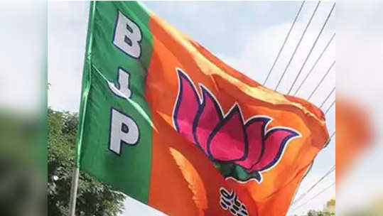 Bjp Website: भाजपची वेबसाइट डाउन; हॅक झाल्याची चर्चा