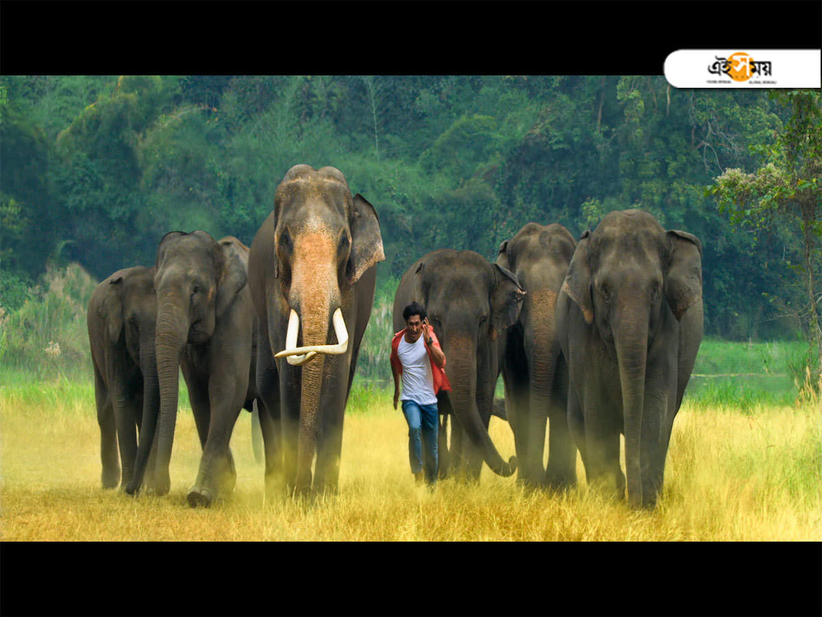 ব দ য ৎ জ ম ল জ ল জ মওয ল র ক ম ল জঙ গল র র জ যখন ব দ য ৎ Eisamay