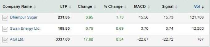 MACD Bears