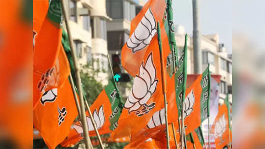 BJP Candidates: भाजपने चार खासदारांचे तिकीट कापले