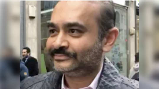 nirav modi: नीरव मोदीच्या पेंटिंग्ज ५५ कोटींना विकल्या