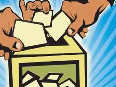 lok sabha election 2019: फक्त या मतदारसंघात होणार मतपत्रिकेद्वारे मतदान 