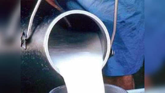 buffalo milk price : म्हशीचं दूध दोन रुपयांनी महागणार