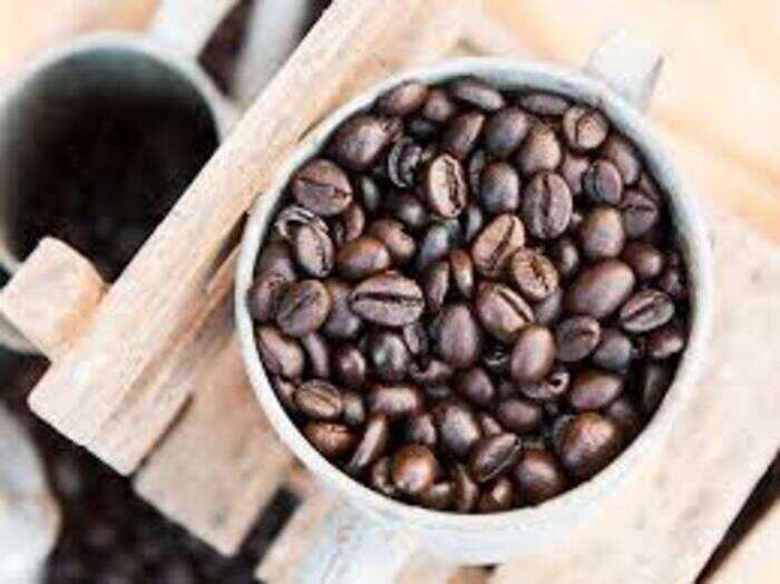 robusta