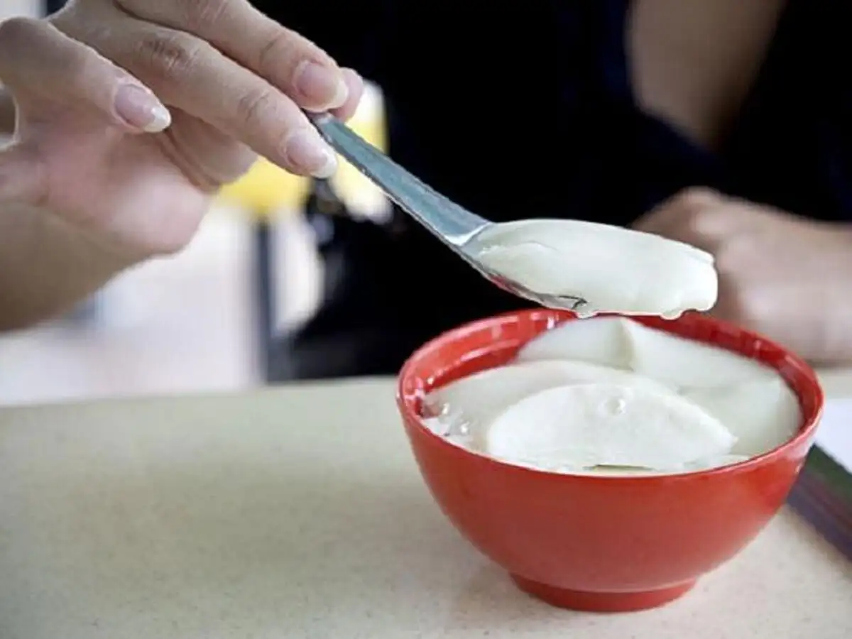 curd : जरूरी काम करने से पहले क्यों ...