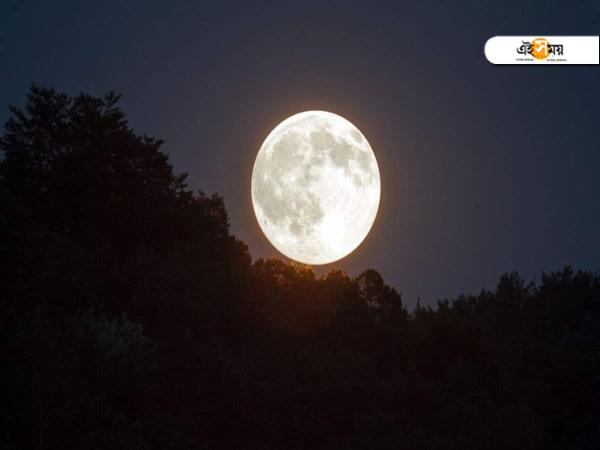 Moon Shrinking শ ক য খ ট হচ ছ চ দ চ হ র য স পষ ট ব ড ট ছ প The Moon Is Steadily Shrinking Causing Wrinkling On Its Surface Eisamay