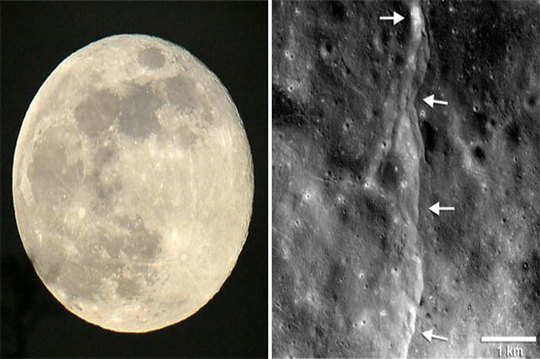 Moon Shrinking শ ক য খ ট হচ ছ চ দ চ হ র য স পষ ট ব ড ট ছ প The Moon Is Steadily Shrinking Causing Wrinkling On Its Surface Eisamay